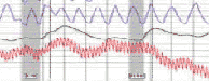 schedule a polygraph test in Yuba City California